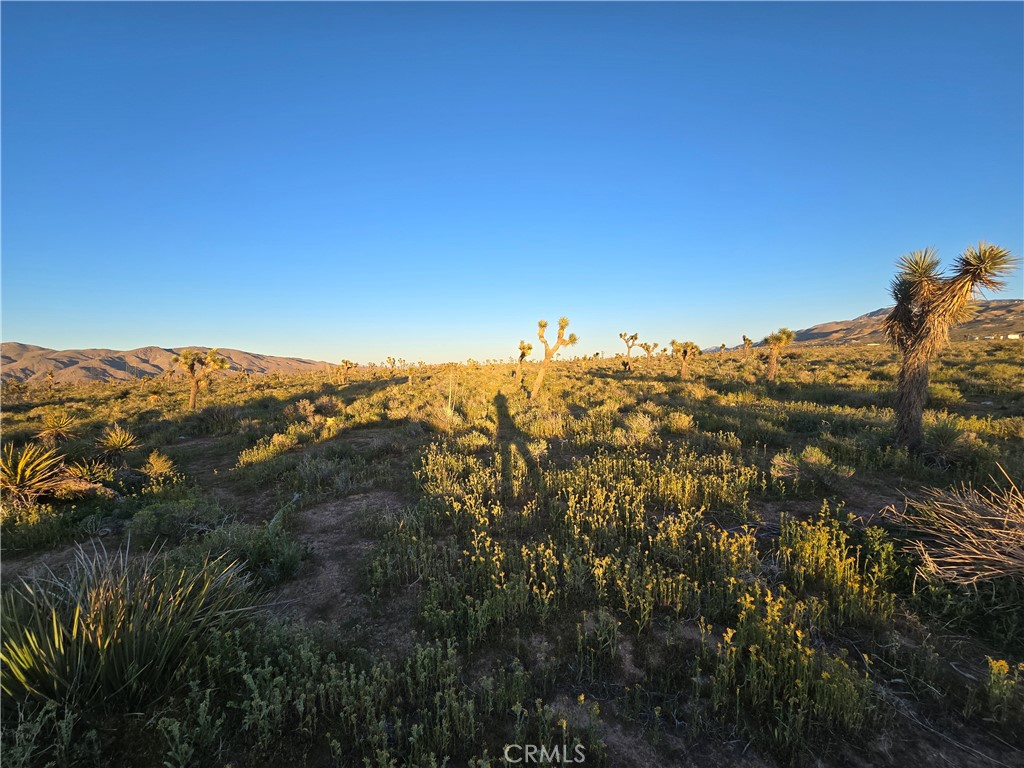 MLS #HD26064088 image #2