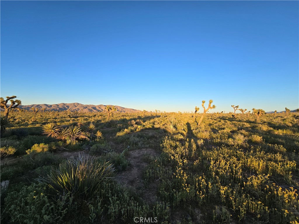 MLS #HD26064088 image #3