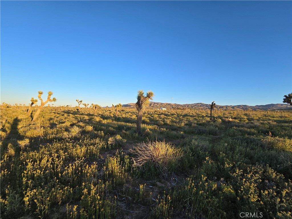 MLS #HD26064088 image #4