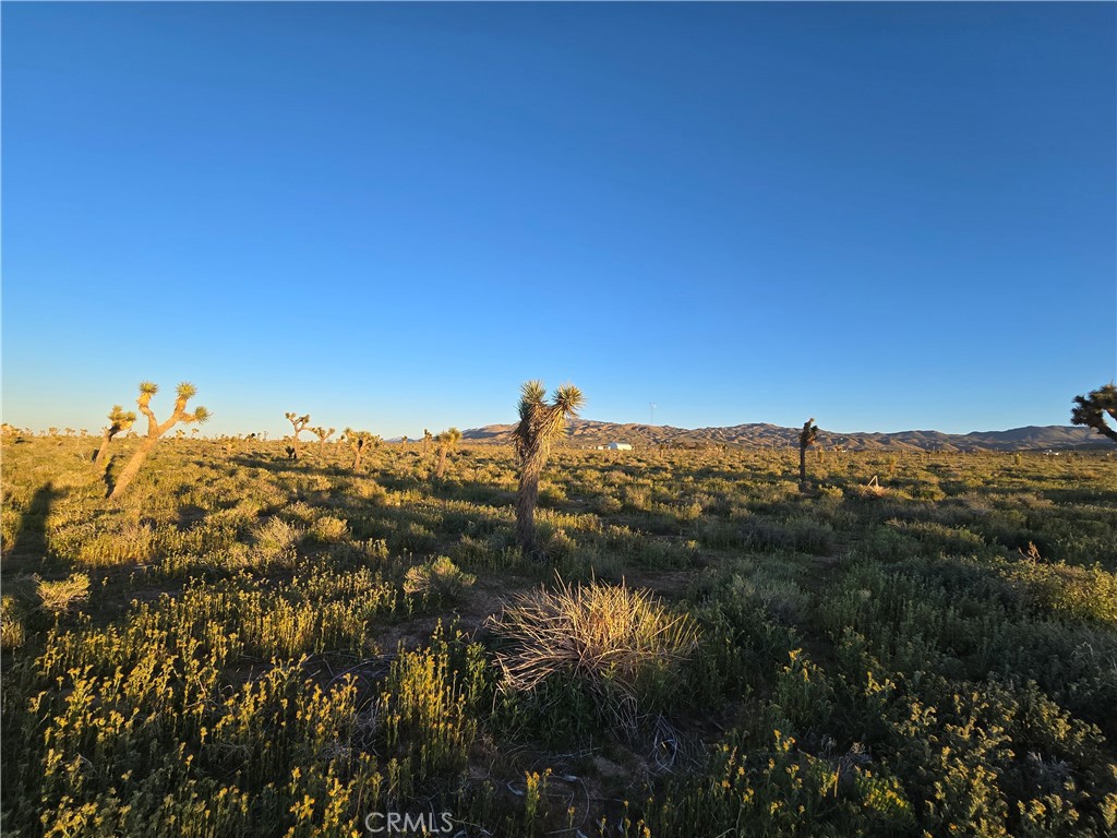 MLS #HD26064088 image #5