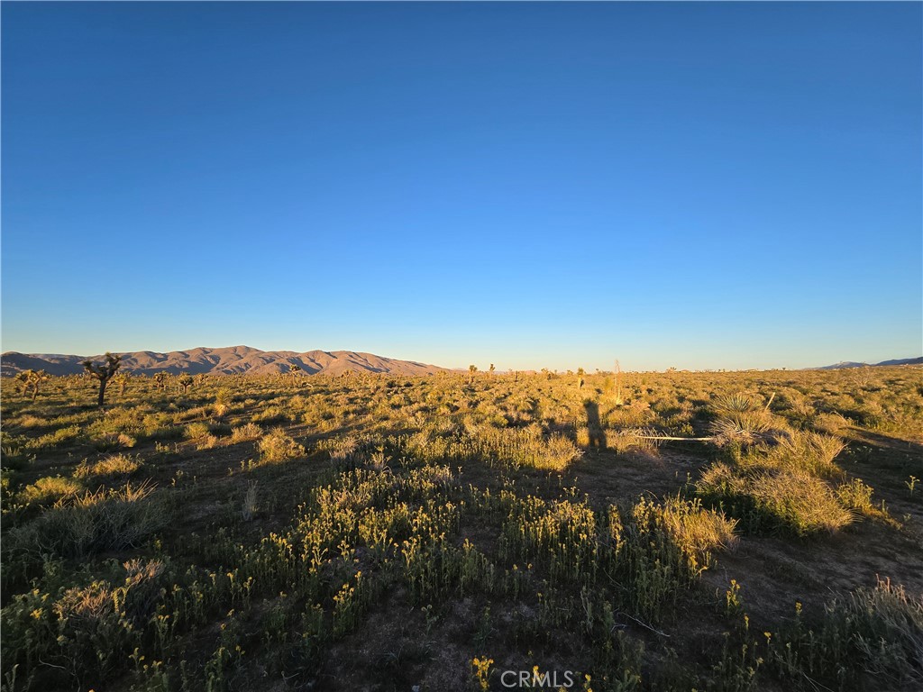 MLS #HD26064272 image #2