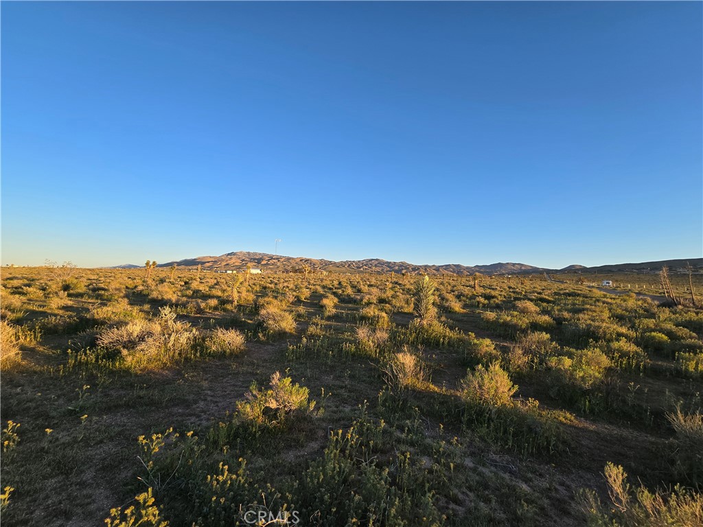 MLS #HD26064272 image #3