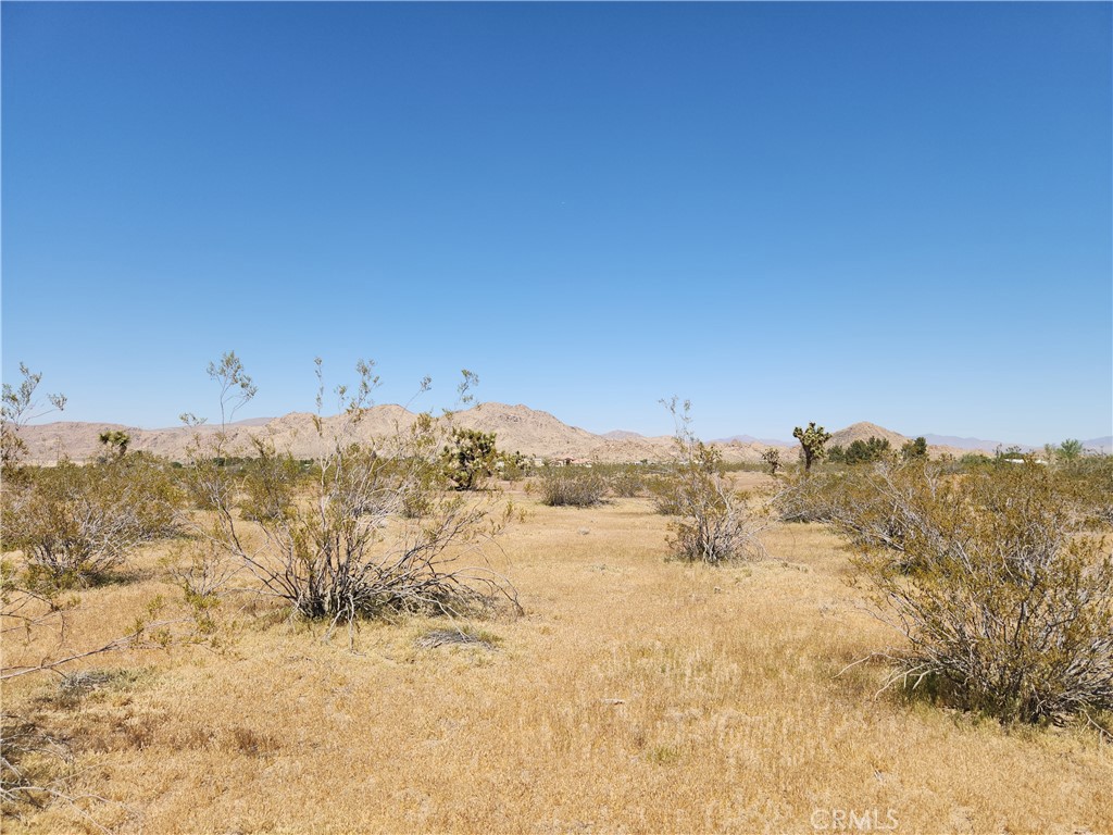 MLS #HD26065044 image #14