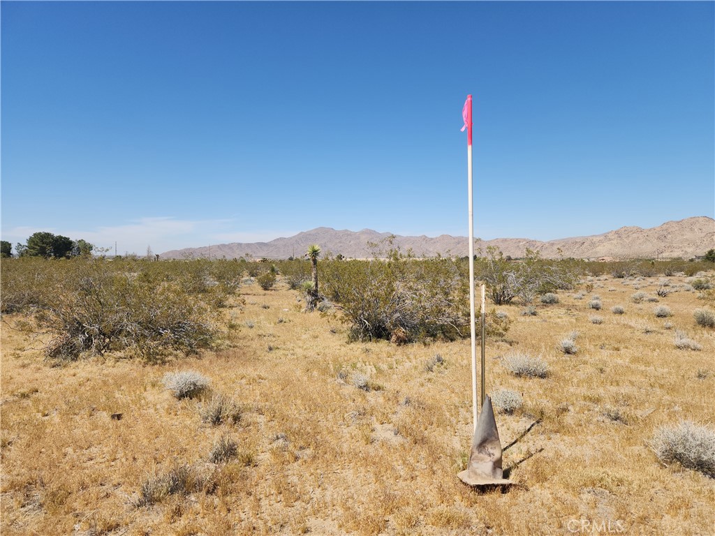 MLS #HD26065044 image #4