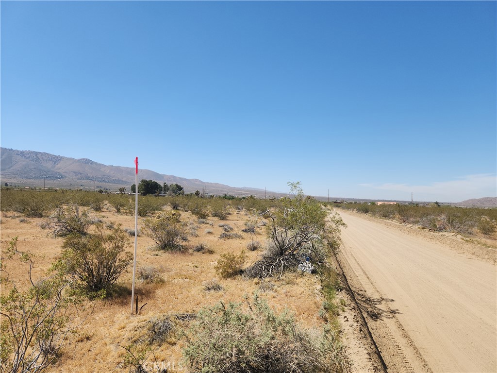 MLS #HD26065044 image #6