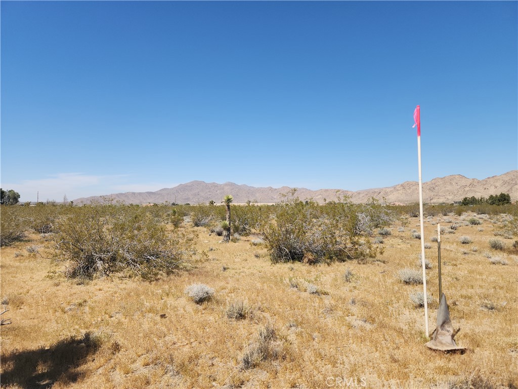 MLS #HD26065044 image #9