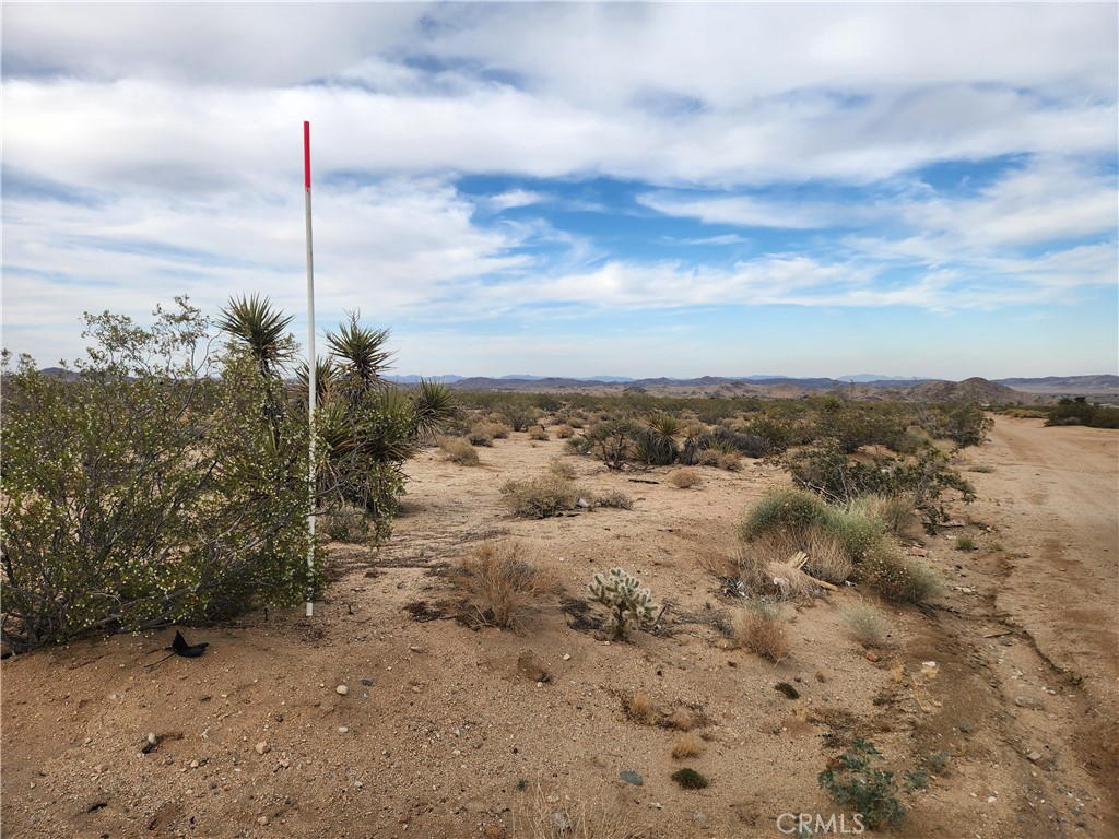 MLS #HD26068382 image #7