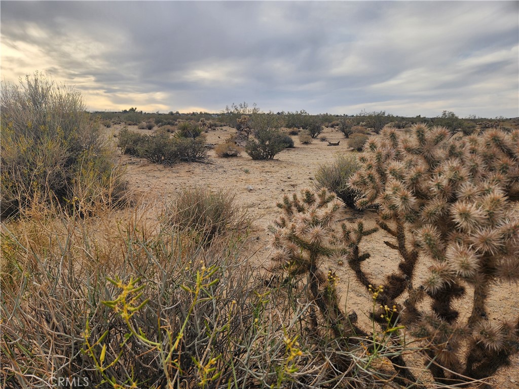 MLS #HD26068382 image #9