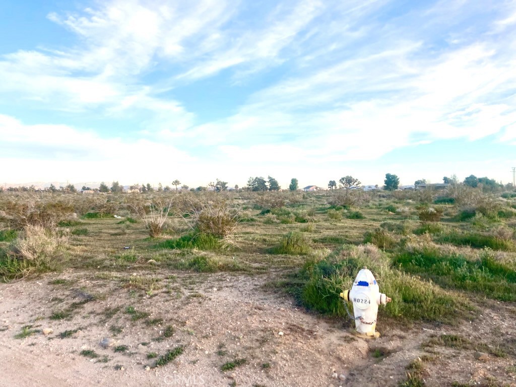 MLS #HD26069403 image #3