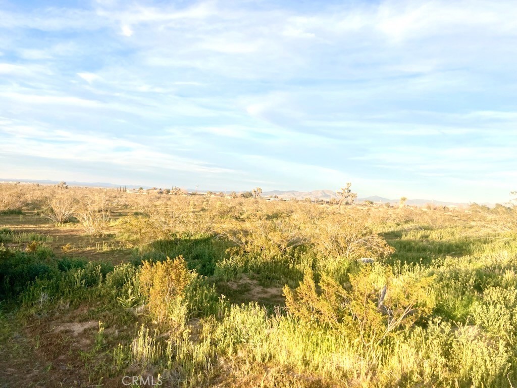 MLS #HD26069403 image #4