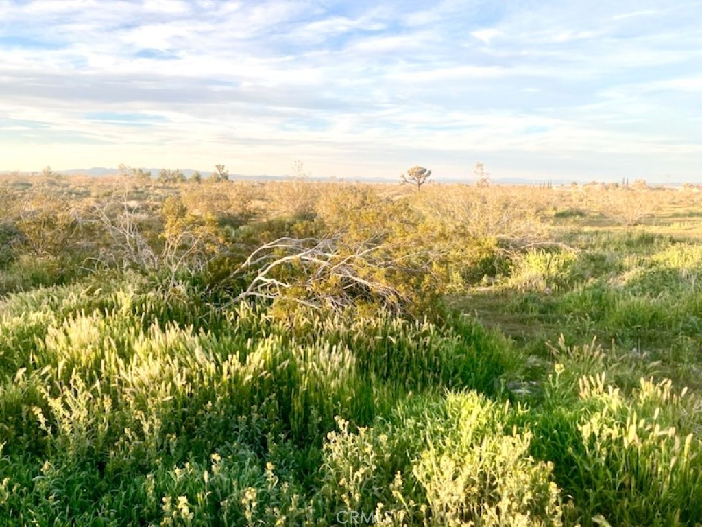 MLS #HD26069403 image #6