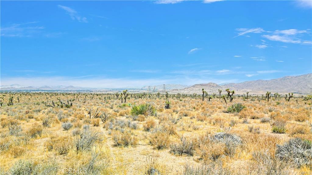 MLS #HD26071428 image #10