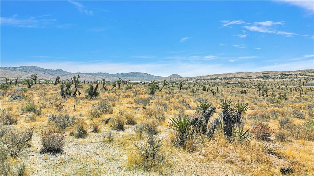 MLS #HD26071428 image #9