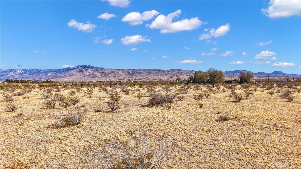 MLS #HD26071429 image #12