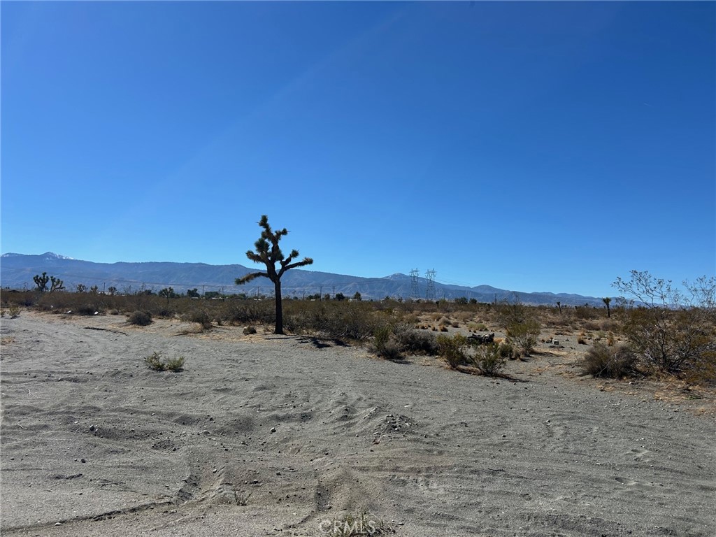 MLS #HD26071964 image #2