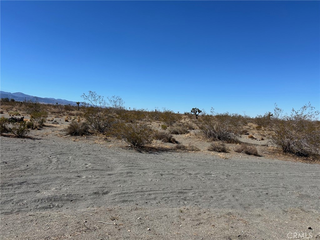 MLS #HD26071964 image #3