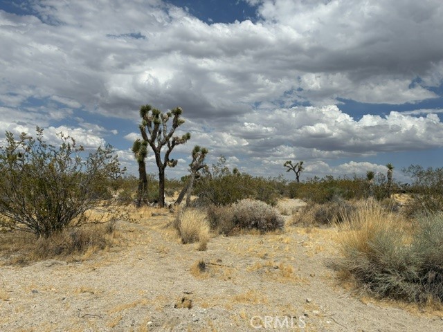broker reciprocity