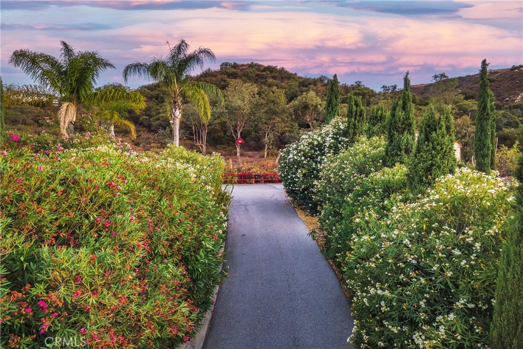 MLS #IV25182741 image #59