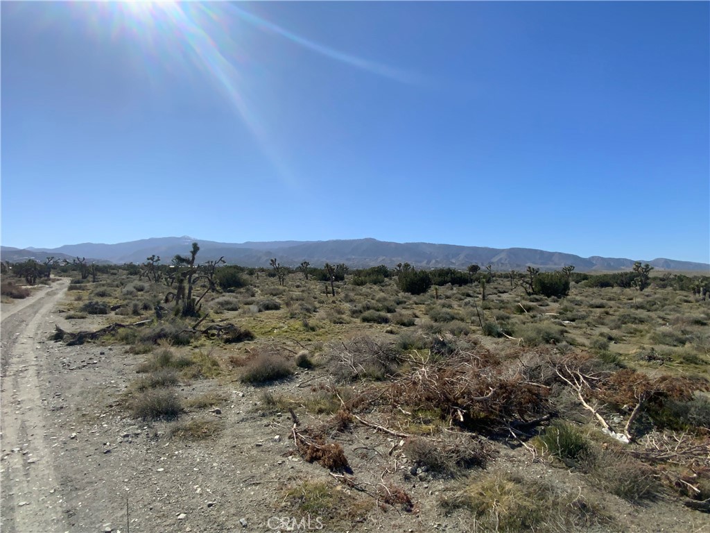 MLS #IV26002753 image #2