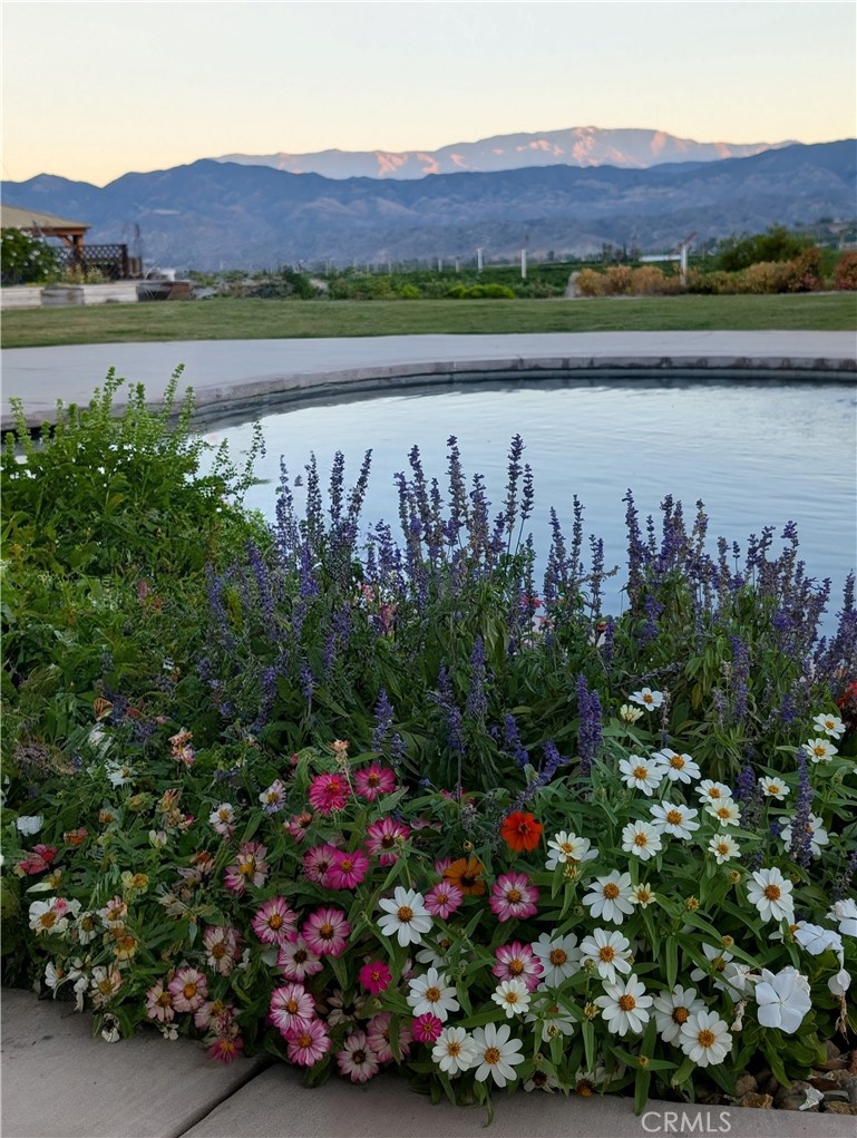 MLS #IV26012348 image #38