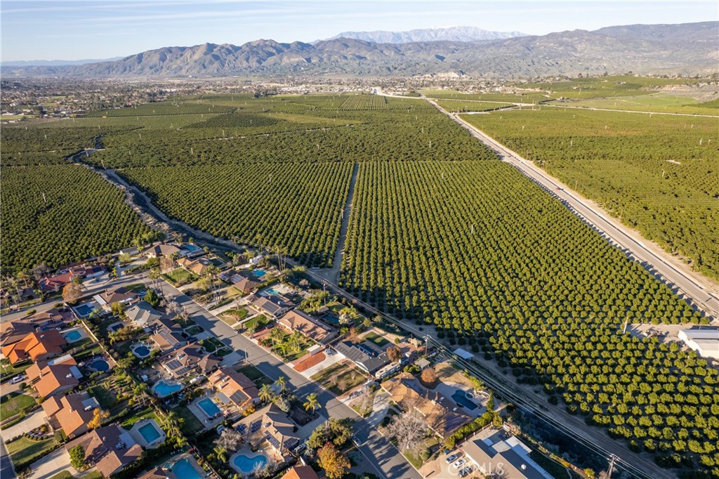 MLS #IV26012348 image #69