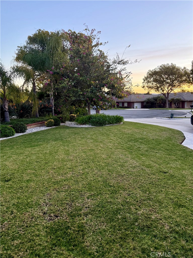 MLS #IV26039176 image #5