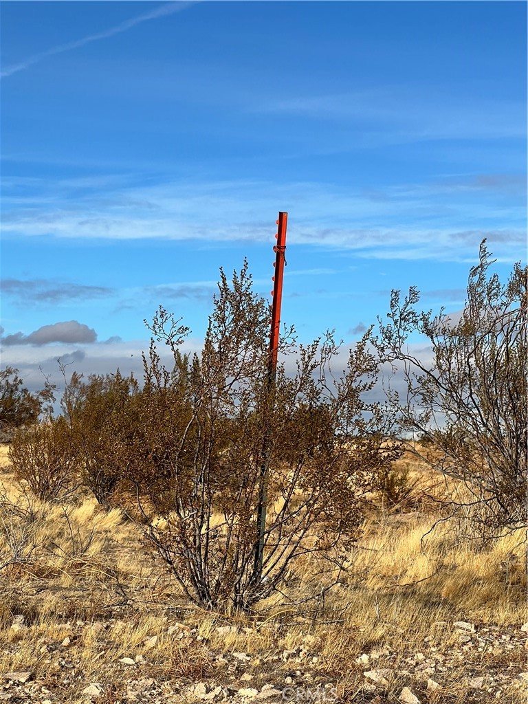 MLS #IV26048304 image #4