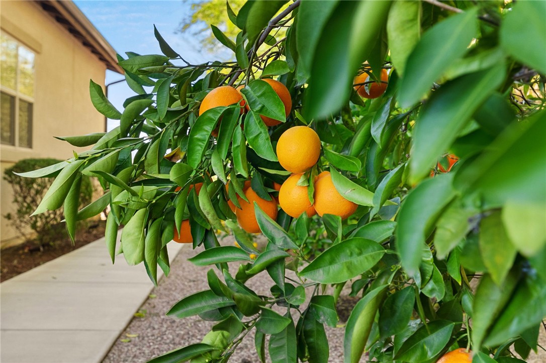 MLS #IV26051237 image #51