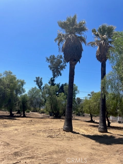 MLS #IV26061237 image #2