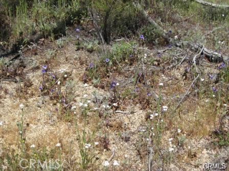 MLS #IV26061673 image #1