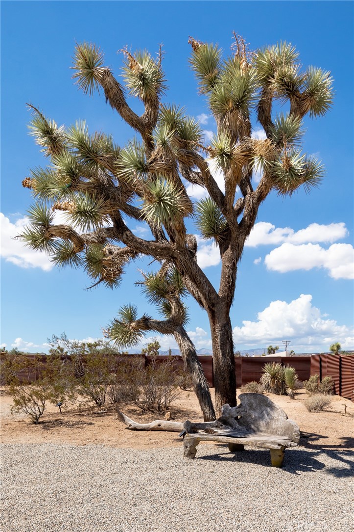 MLS #JT26055453 image #65