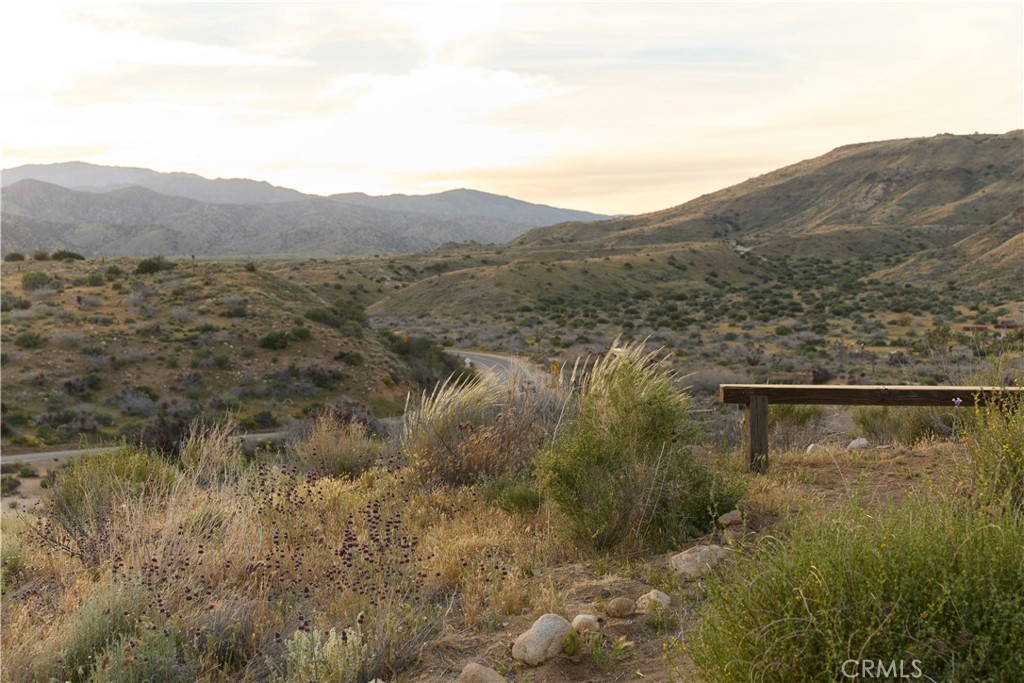 MLS #JT26065349 image #34