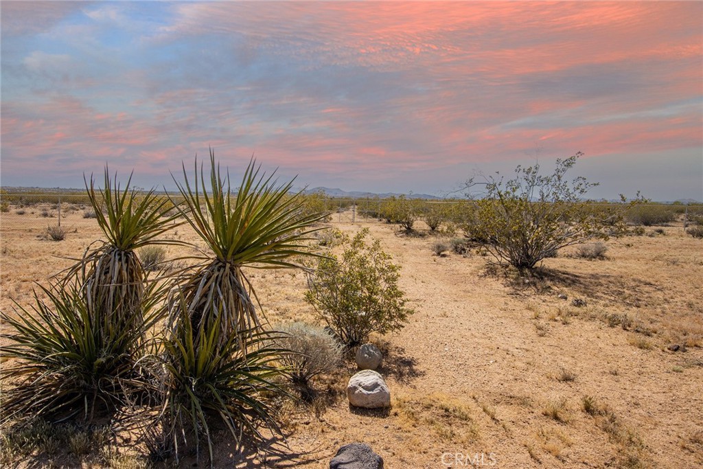 MLS #JT26065482 image #10