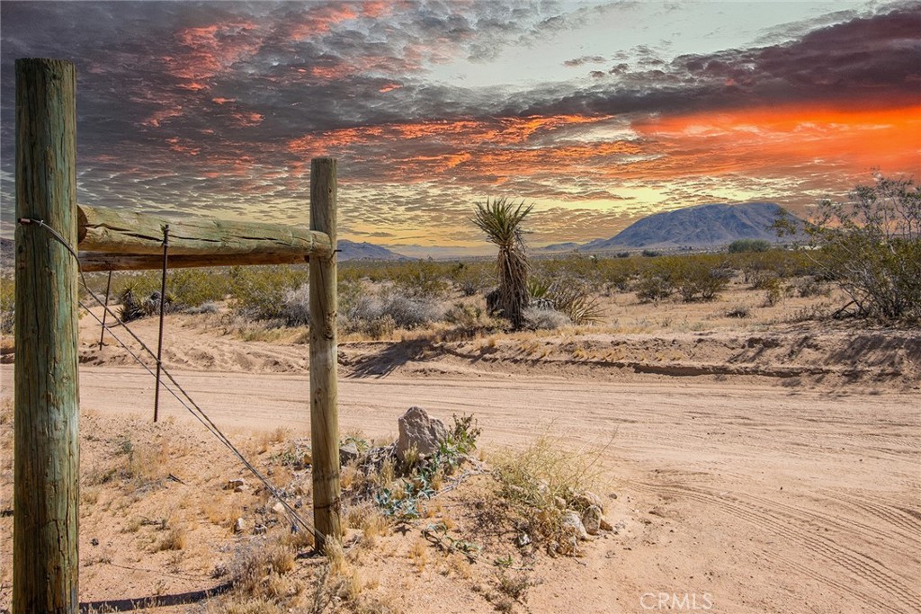 MLS #JT26065482 image #8