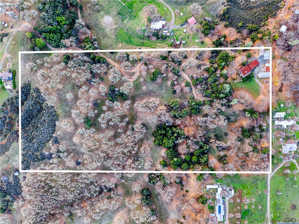 MLS #LC25277661 image #4