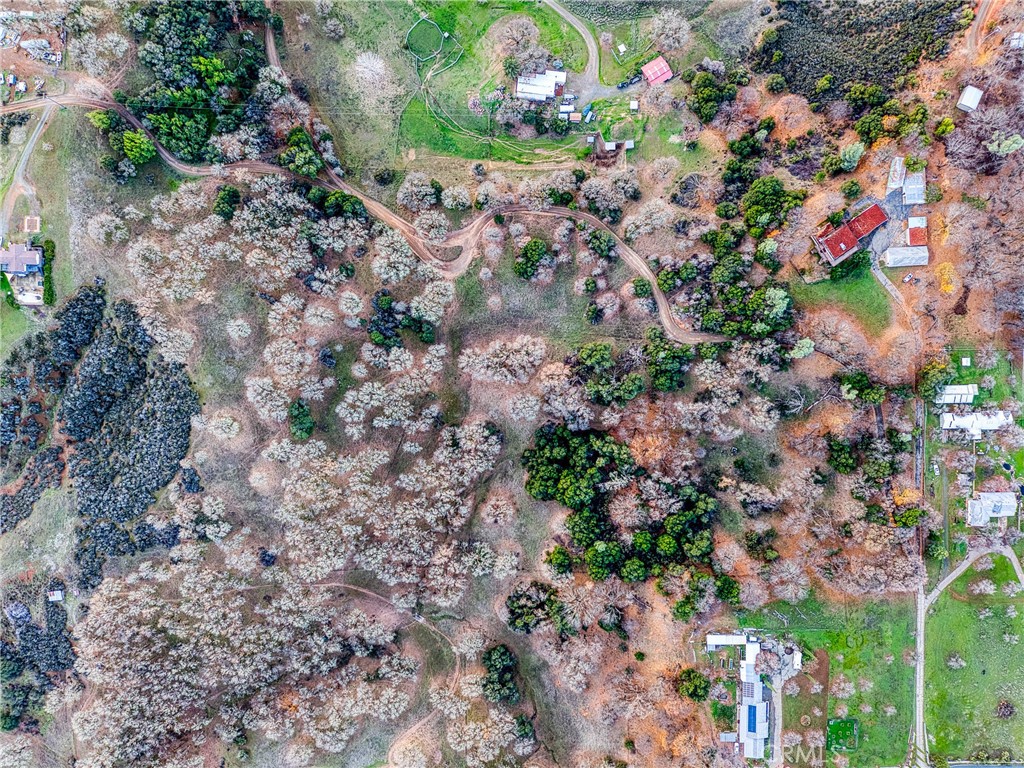 MLS #LC25277661 image #72