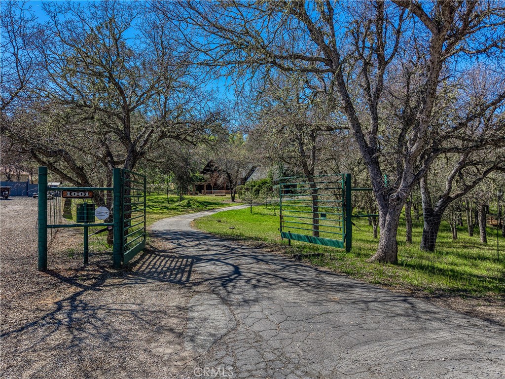 MLS #LC26048384 image #3