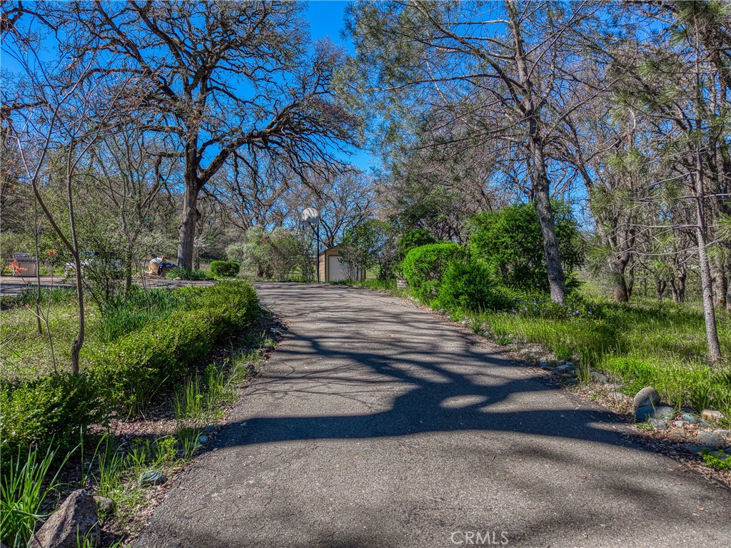 MLS #LC26048384 image #5