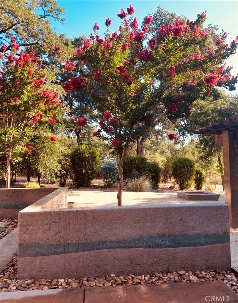 MLS #LC26048384 image #50