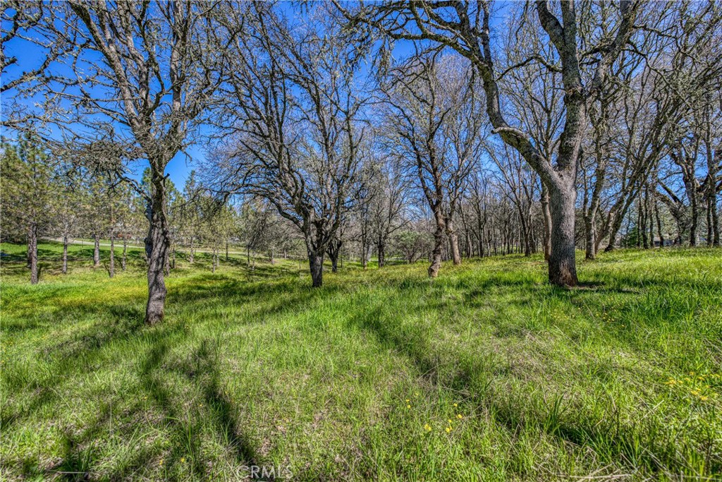 MLS #LC26048384 image #64