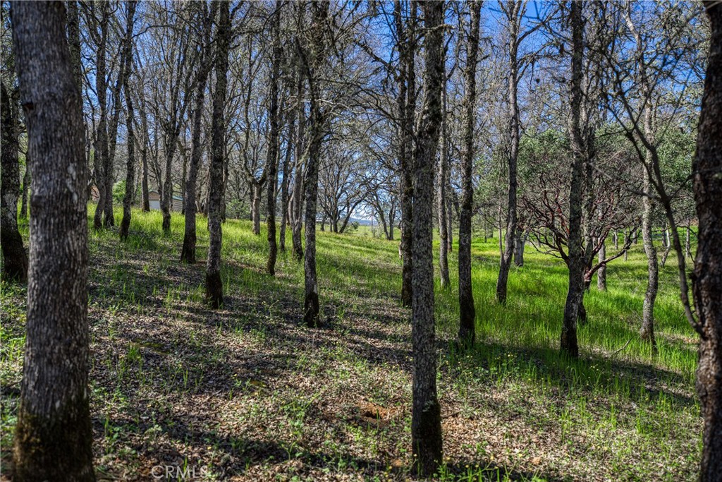 MLS #LC26048384 image #67