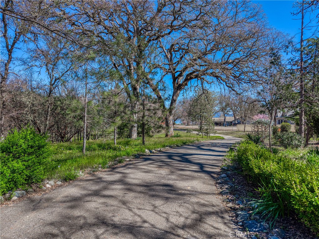 MLS #LC26048384 image #70