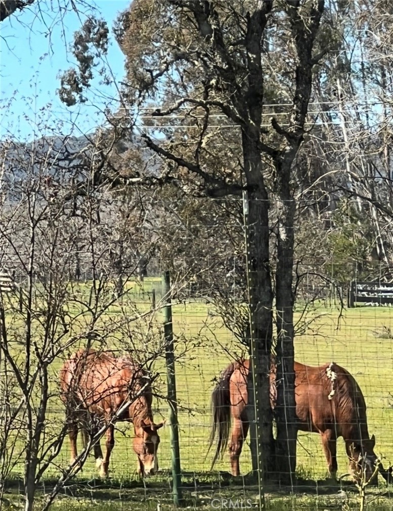 MLS #LC26048384 image #71