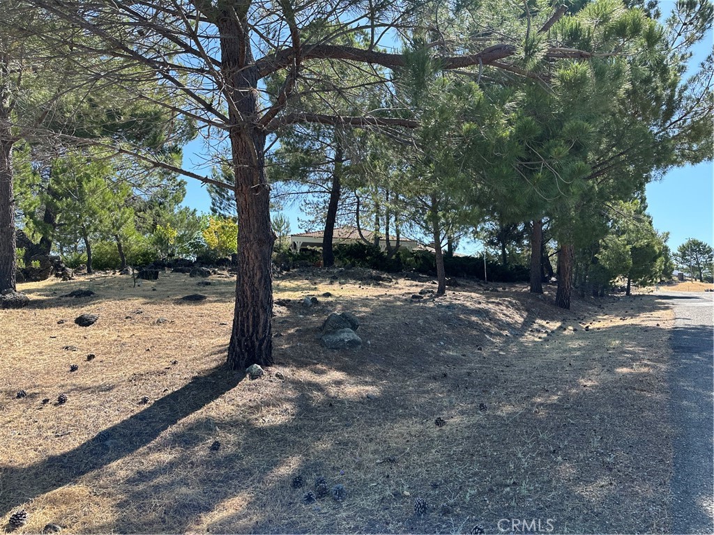 MLS #LC26071925 image #58