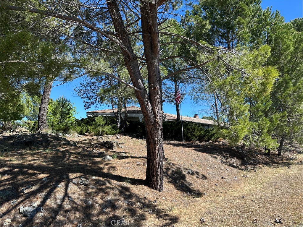 MLS #LC26071925 image #67