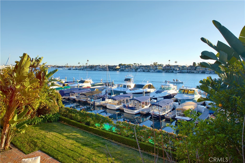 MLS #LG25274127 image #25