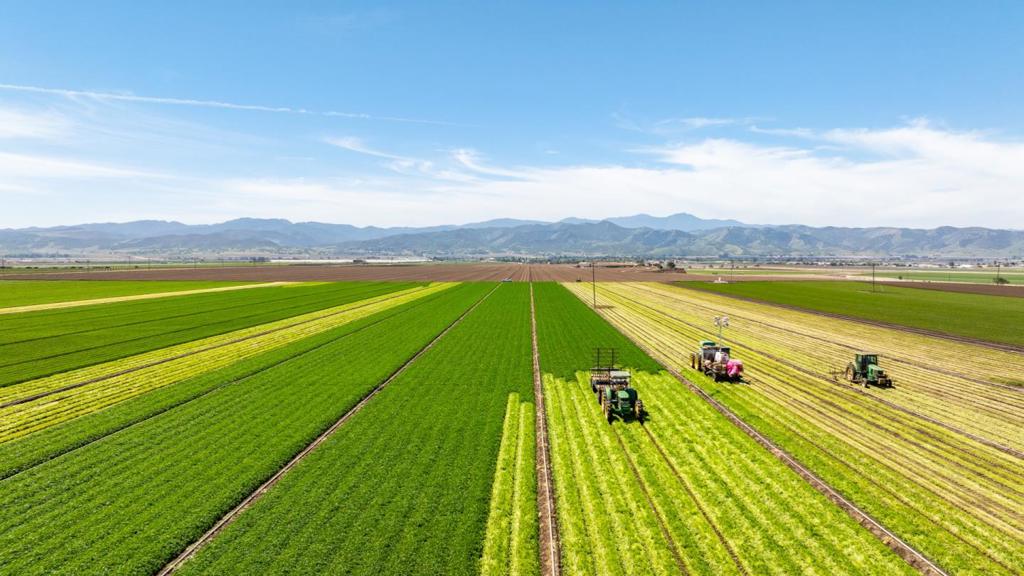 MLS #ML82012659 image #0