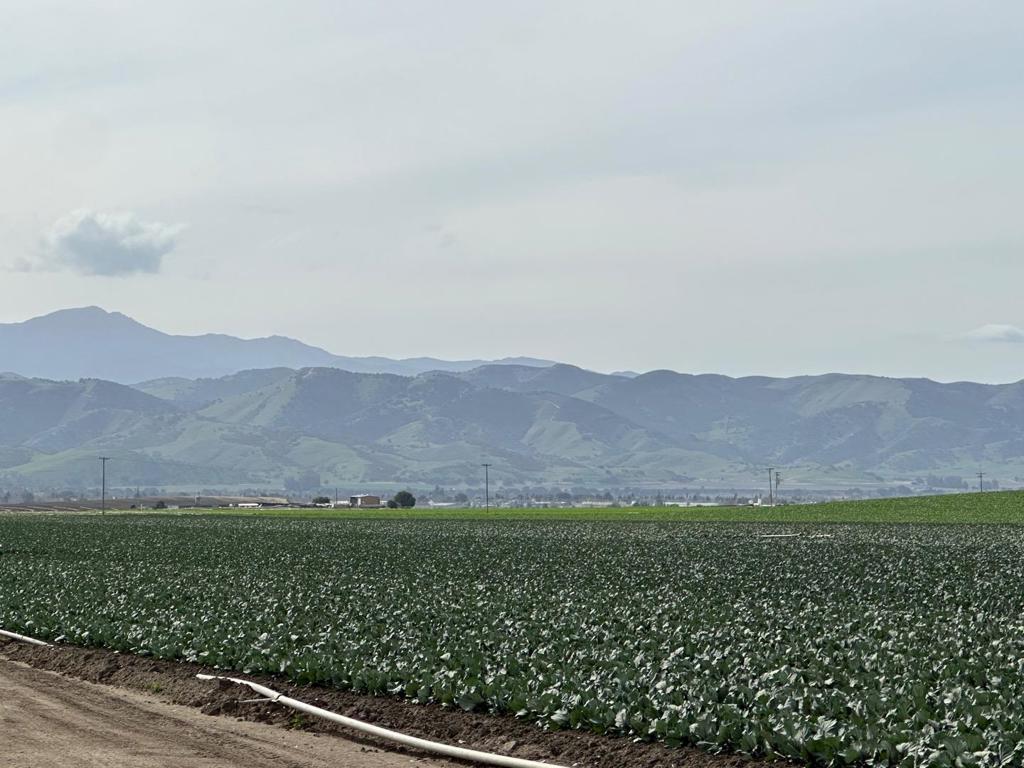 MLS #ML82012659 image #10