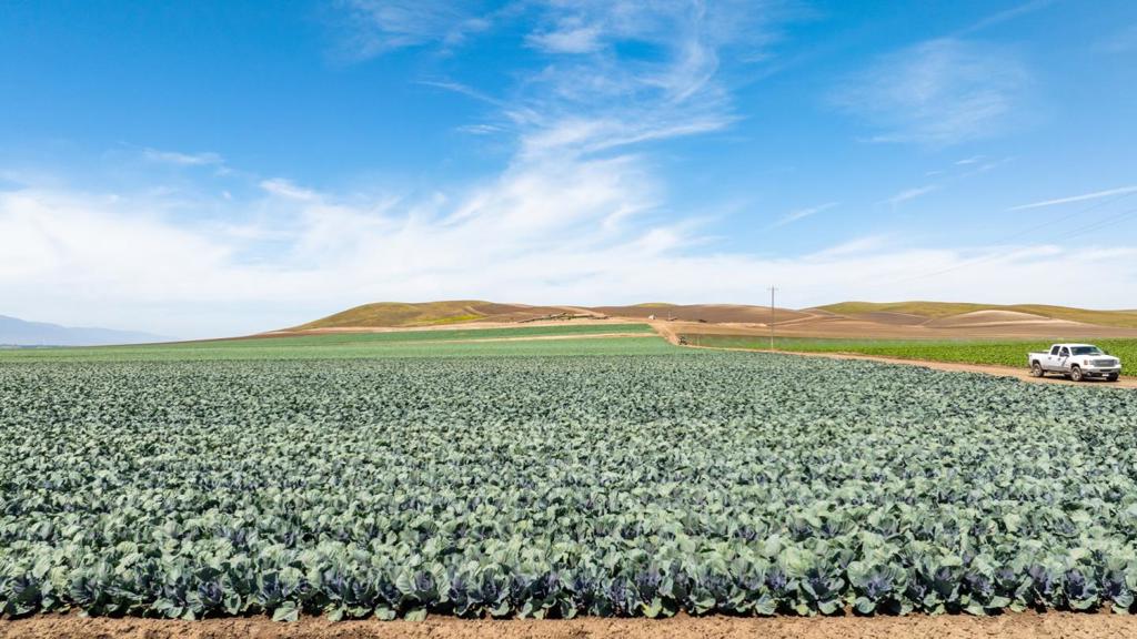 MLS #ML82012659 image #2