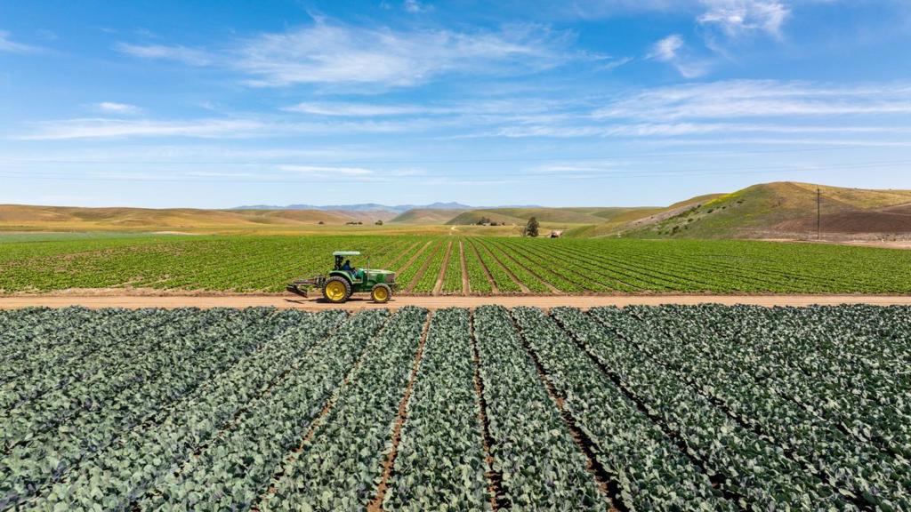 MLS #ML82012659 image #4